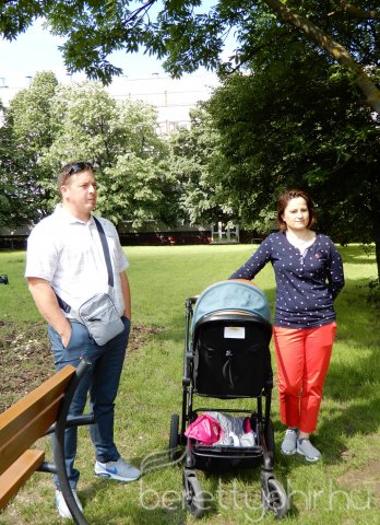 Életfát ültettünk 08